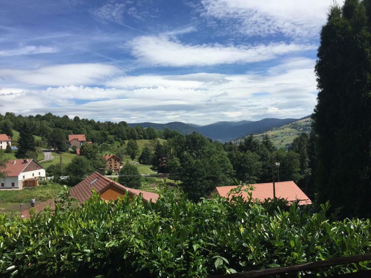 Les Bruyeres Wi Fi Villa La Bresse Exterior photo